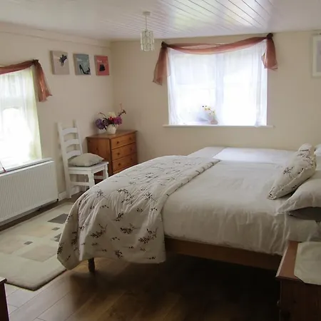 Fuchsia - Connemara Self Catering