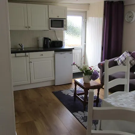 Fuchsia - Connemara Self Catering Daire Letterfrack